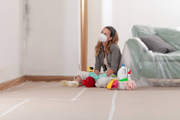 Reliable Commercial Mold Remediation contractor in Kingsley, MI by WQB Mold Removal